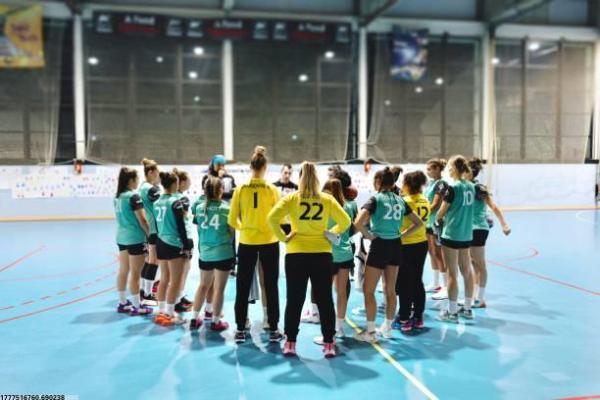 体育培训机构停办的原因与应对措施(图1)