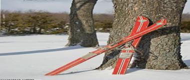 高端体育场馆建设案例